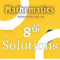 Class 8 Maths Solutions