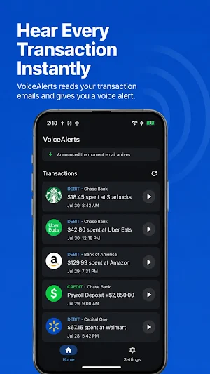 Payment Voice Alerts Screenshot 0