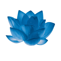 Muskan Mehendi Courses