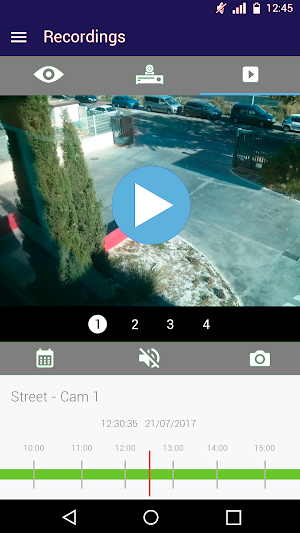 Guardians Security EasyView Screenshot 2