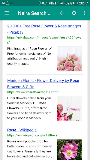 Naira Search & Browser Screenshot 2