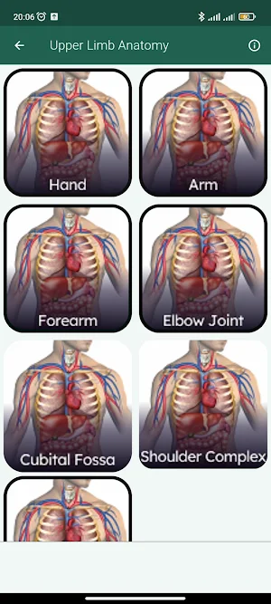 Human Anatomy Screenshot 2