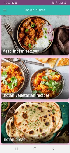 Indian dishes Screenshot 1