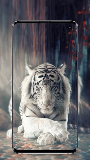 Tiger Wallpaper Screenshot 2