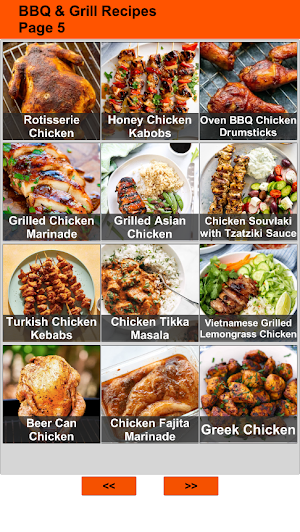 150 Barbecue and Grill Recipes Screenshot 3