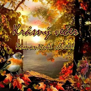 Krásný večer Screenshot 0