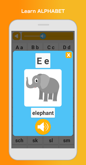 Learn English - Language & Grammar Pro Screenshot 3