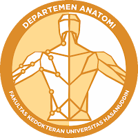Dent Anatomy Learning FKUH