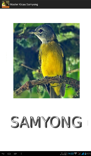 Master Kicau Samyong Screenshot 0