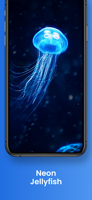 Cool Jellyfishes 3D Wallpapers Screenshot 0