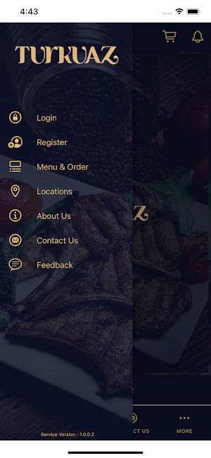 Turkuaz Crawley Screenshot 1