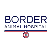 BorderAnimal