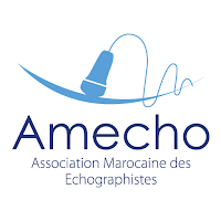 Amecho