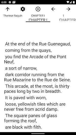Book, Therese Raquin Screenshot 1