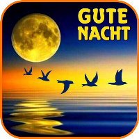 Gute Nacht Bilder Und Gif