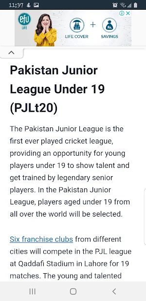 Pakistan Junior League Screenshot 2