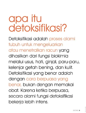 Diet Detoks Menguras Racun Screenshot 2