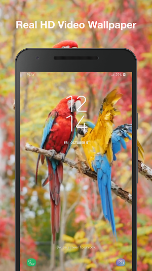 Beauty Birds Live Wallpaper PRO Screenshot 2