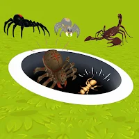Insect Hole