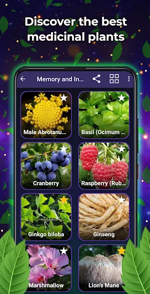 Medicinal plants and uses Screenshot 0