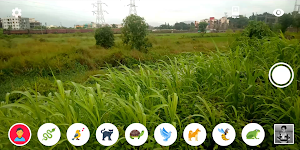 Animal Vision Simulator 🦄 Screenshot 1