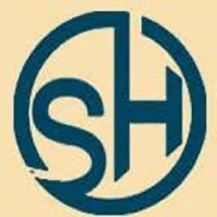 SH SEO Audit Pro