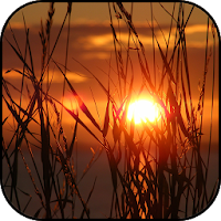 Sun wallpapers