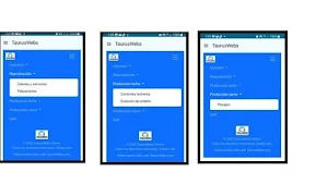 TaurusWebs V2025 Screenshot 2