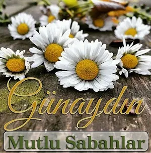 Günaydın Mesajları Screenshot 3
