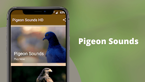 Pigeon Sounds - Pigeon Hunting Calls Screenshot 0