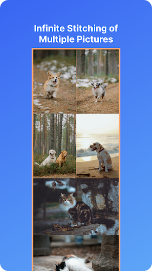 LongPic: Stitch Screenshots Screenshot 1