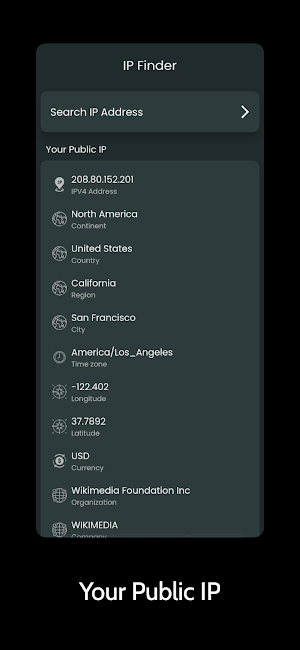 IP Finder Screenshot 1