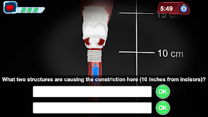 Gamifying Anatomy Screenshot 2