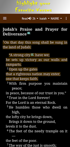 Holy Bible NABRE Screenshot 1