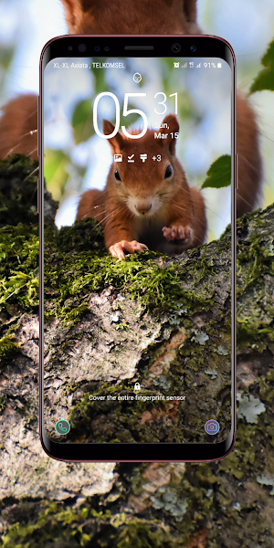 Squirrel Wallpaper Screenshot 3