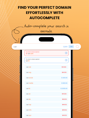 Instant Domain Lookup Screenshot 2