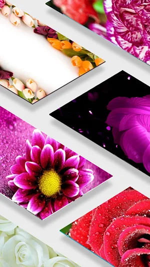 Spring Flowers Wallpapers Screenshot 0