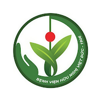 BVHN Việt Đức