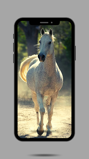 Horses Ringtone Screenshot 0