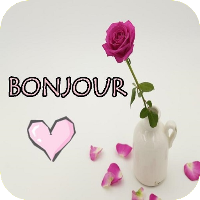 Bonjour Images