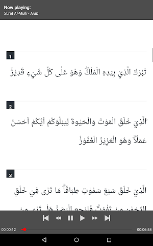 Surat Al-Mulk MP3 Offline + Terjemah Screenshot 1