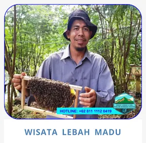 Bukit Lebah Ciater Screenshot 0
