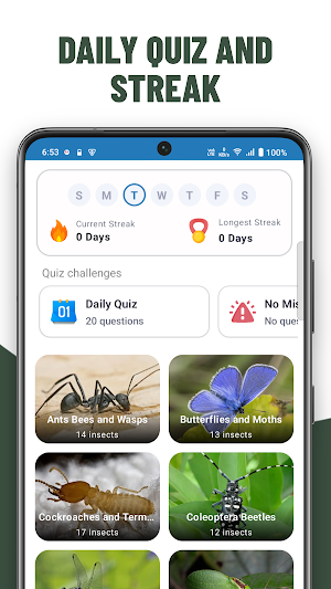 Insects Quiz Screenshot 0