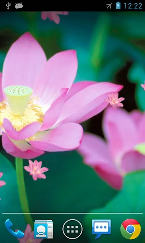 Lotus Live Wallpaper Screenshot 1