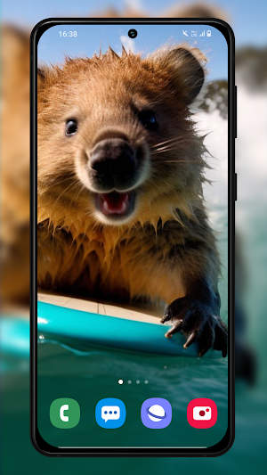 Quokka Wallpapers Backgrounds Screenshot 1