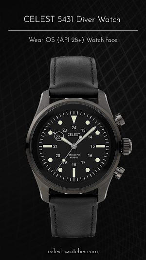 CELEST5431 Diver Watch Screenshot 3
