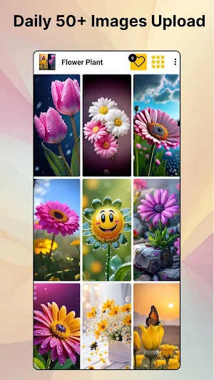 Flowers Wallpaper 4K-HD Photos Screenshot 1
