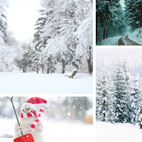 Snow Wallpapers & Background