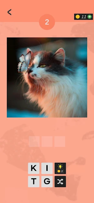 Guess The Cat Name Screenshot 2