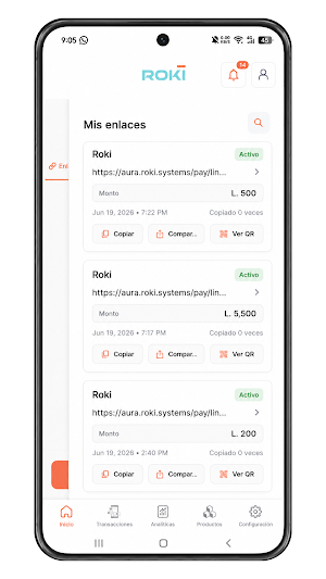 ROKI Business Screenshot 1